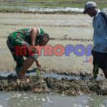 55467763_387725185393422_5191756652088393728_n