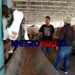 LogoLicious_20191005_103207