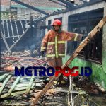 LogoLicious_20200311_154531