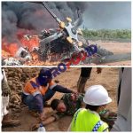 LogoLicious_20200606_175638