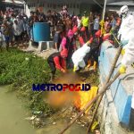 LogoLicious_20200621_174738