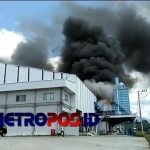 LogoLicious_20200829_051017