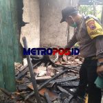 LogoLicious_20200915_052948