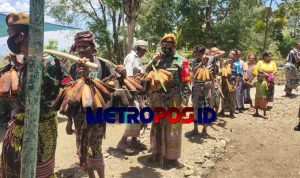 LogoLicious_20201104_182343