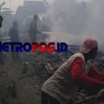 LogoLicious_20201129_050051