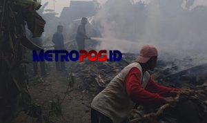 LogoLicious_20201129_050051