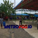 LogoLicious_20201129_053521