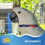 LogoLicious_20201217_212146