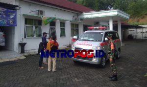 LogoLicious_20201229_053911