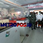 LogoLicious_20210204_175322