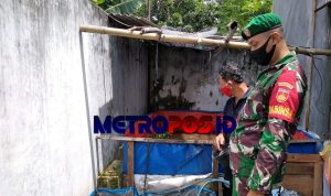 LogoLicious_20210205_203500