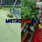 LogoLicious_20210208_114102