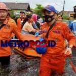 LogoLicious_20210208_140700