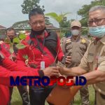 LogoLicious_20210209_203744