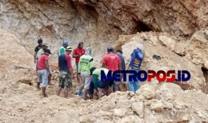 LogoLicious_20210217_183940