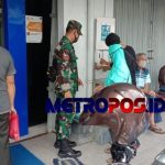 LogoLicious_20210224_193804