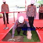 LogoLicious_20210305_070323