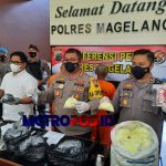 LogoLicious_20210420_051649