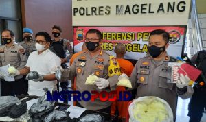 LogoLicious_20210420_051649