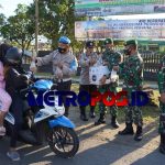 LogoLicious_20210425_032137