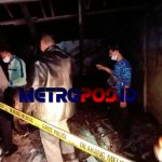 LogoLicious_20210430_045600