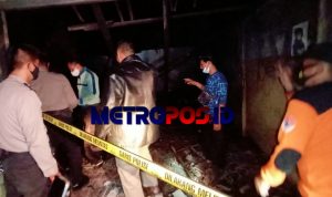 LogoLicious_20210430_045600