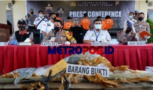 LogoLicious_20210519_050837