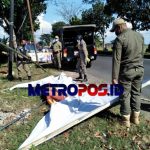 LogoLicious_20210618_045205