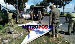 LogoLicious_20210618_045205