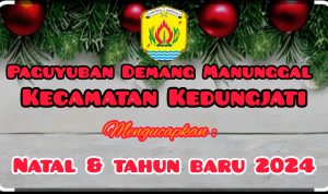 InShot_20231223_051534713