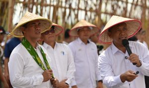 IMG-20250612-WA0017
