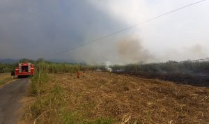 IMG-20260720-WA0046